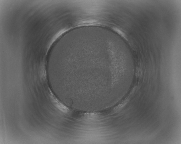 X0000062631458200512281543