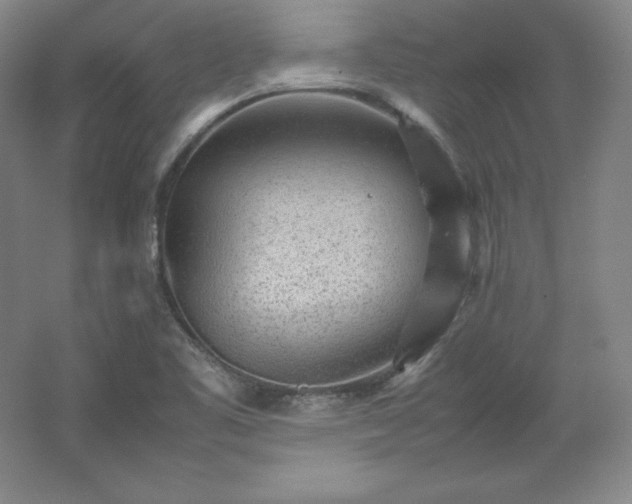 X0000062631461200512281543