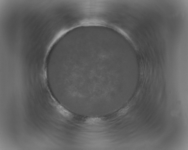 X0000062631462200512281543