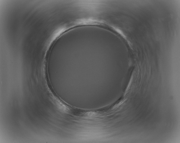 X0000062631463200512281543