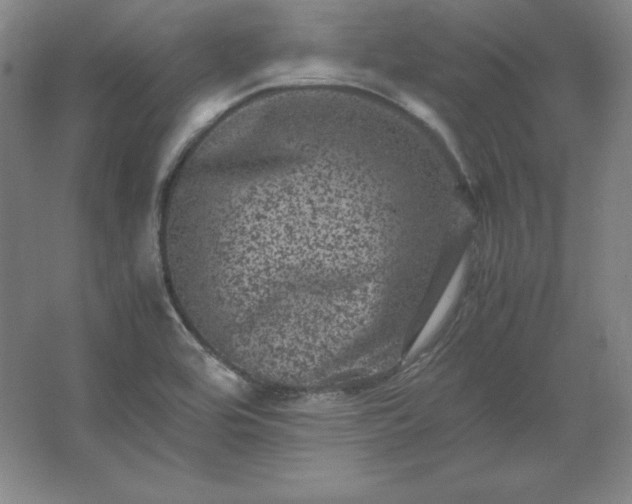 X0000062631464200512281543