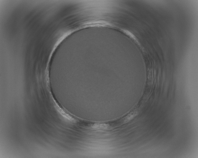 X0000062631466200512281543