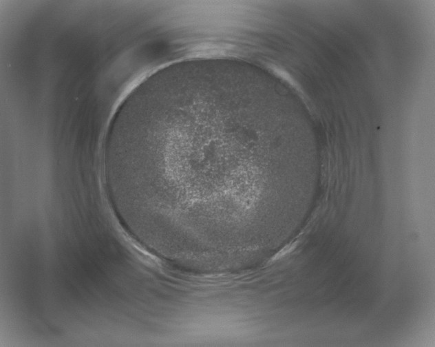 X0000062631467200512281543