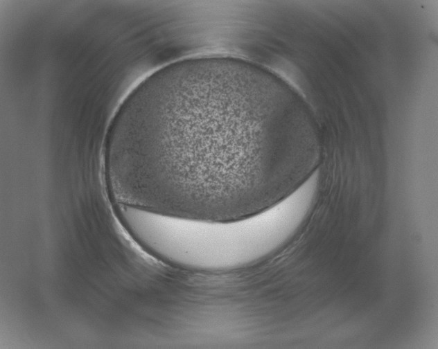 X0000062631468200512281543