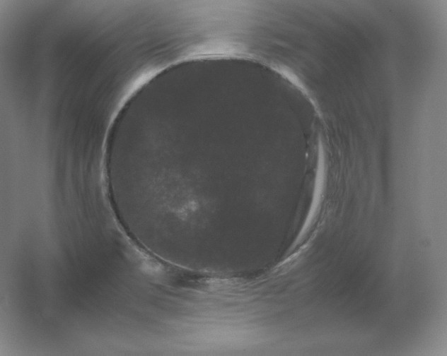 X0000062631469200512281542