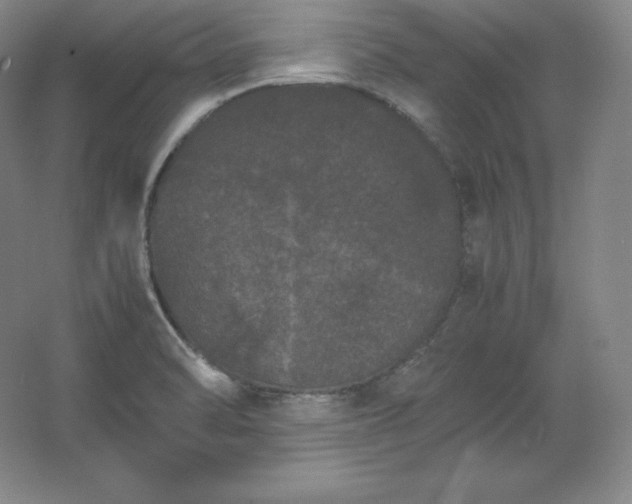 X0000062631470200512281542