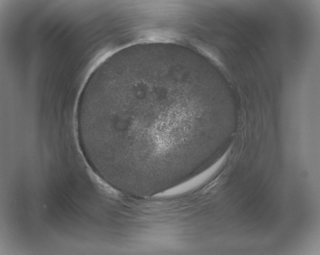 X0000062631471200512281542