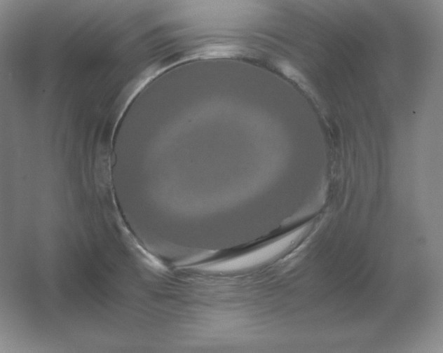 X0000062631473200512281542