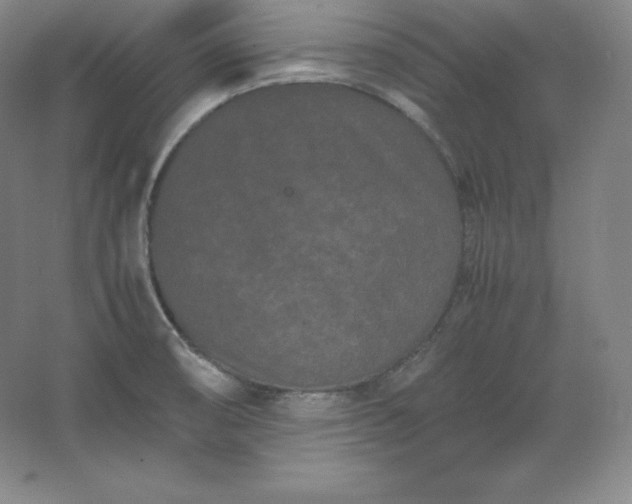 X0000062631474200512281542