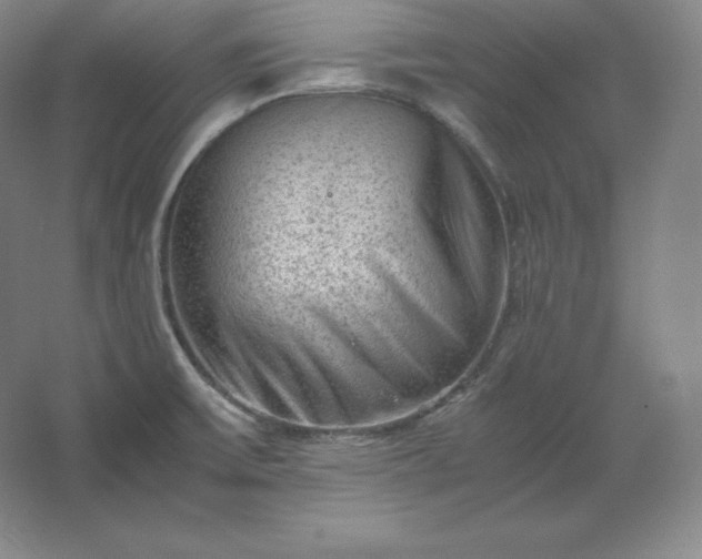 X0000062631475200512281542