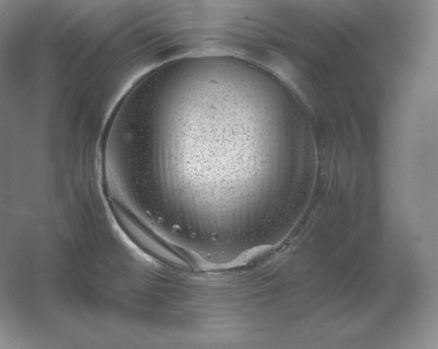 X0000062631476200512281542