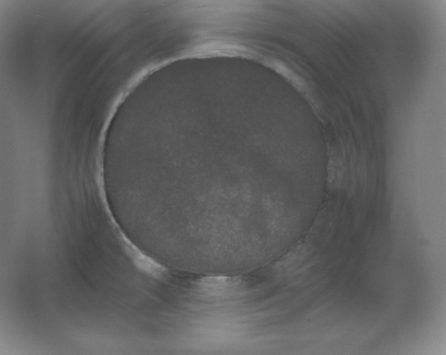 X0000062631478200512281542