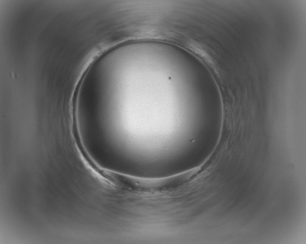 X0000062631479200512281542