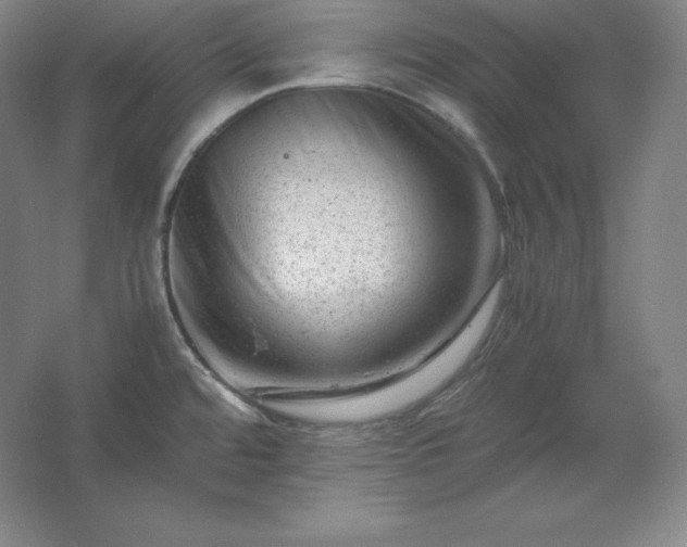 X0000062631480200512281542