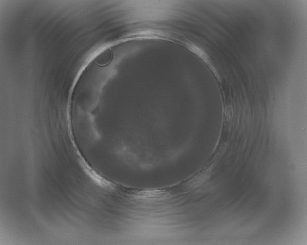 X0000062631482200512281542