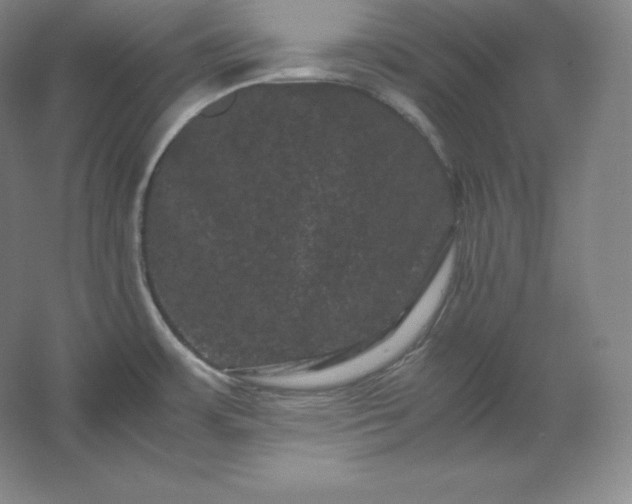 X0000062631483200512281542