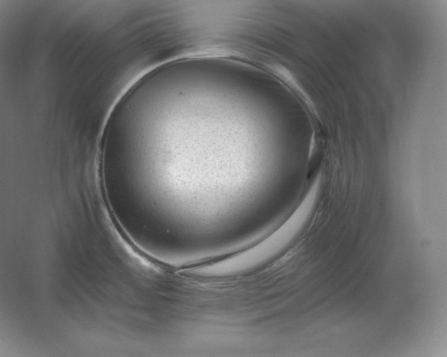 X0000062631484200512281542