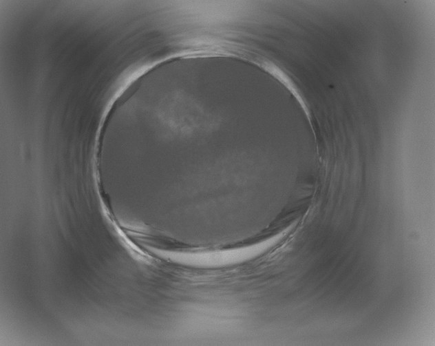 X0000062631485200512281542