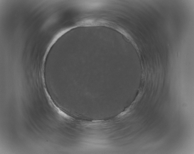 X0000062631486200512281542