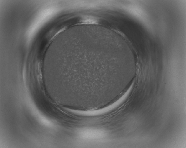 X0000062631487200512281542