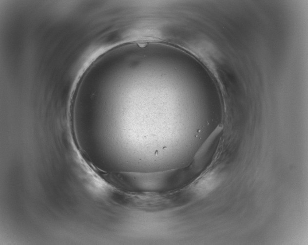 X0000062631488200512281542