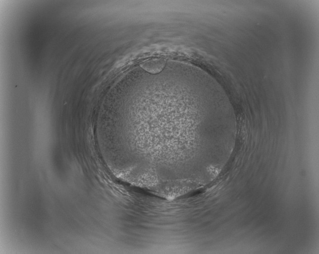 X0000062631489200512281541