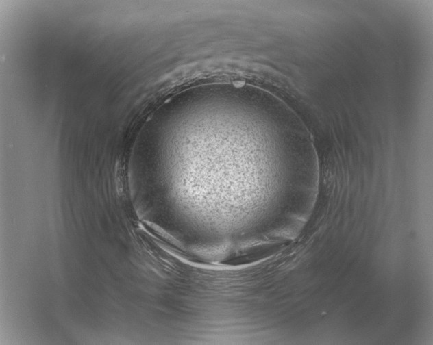 X0000062631490200512281541