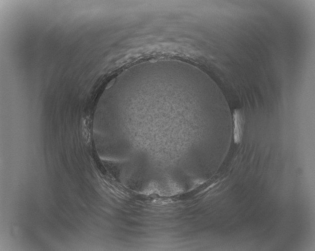 X0000062631491200512281541