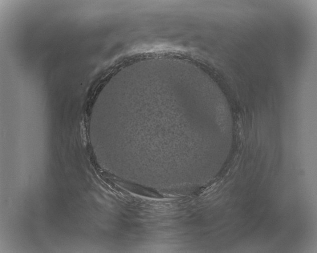 X0000062631493200512281541