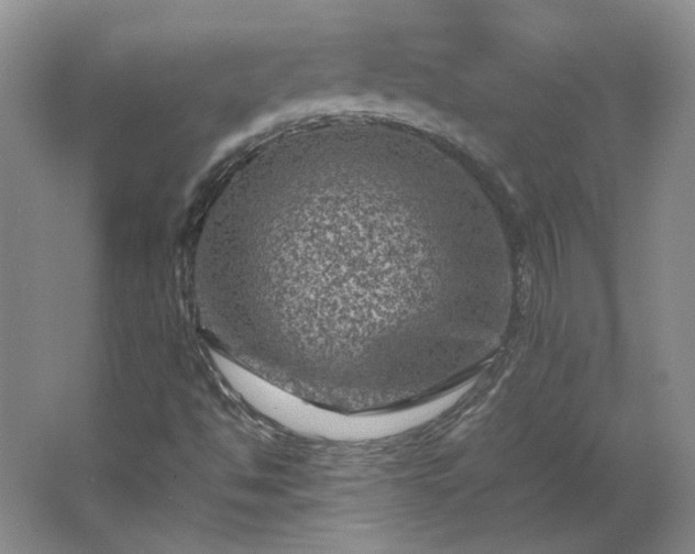 X0000062631494200512281541