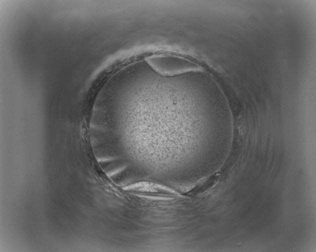 X0000062631495200512281541