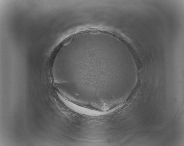 X0000062631496200512281541