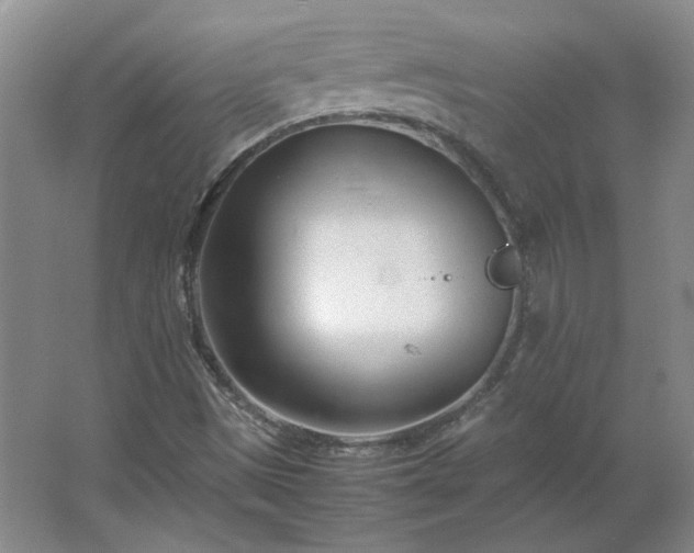 X0000062631497200512281542