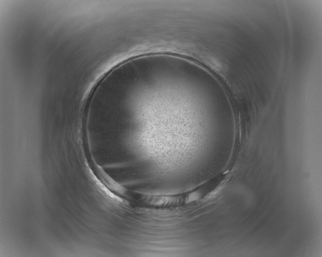 X0000062631500200512281542