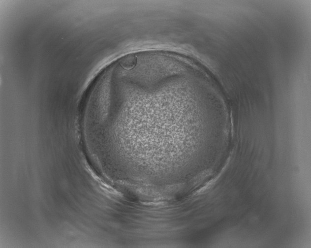 X0000062631501200512281542