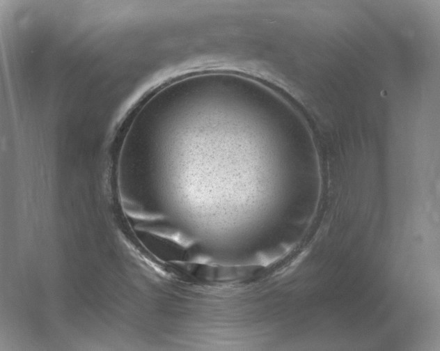 X0000062631502200512281542