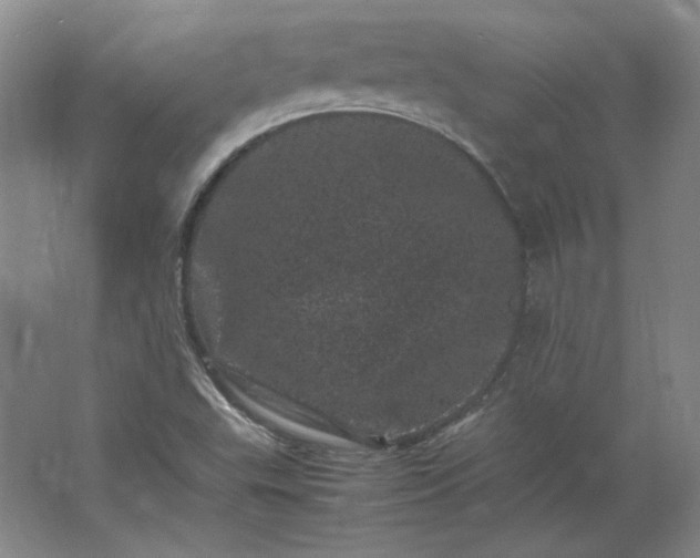 X0000062631503200512281542