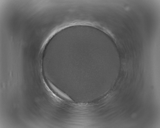 X0000062631504200512281542