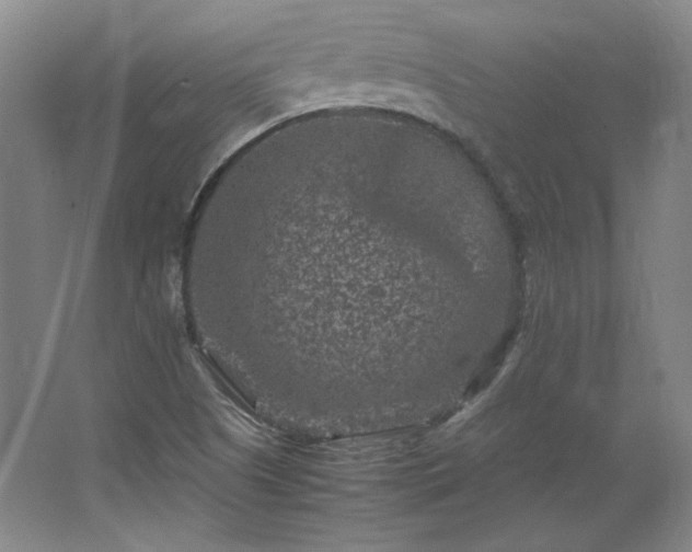 X0000062631505200512281542