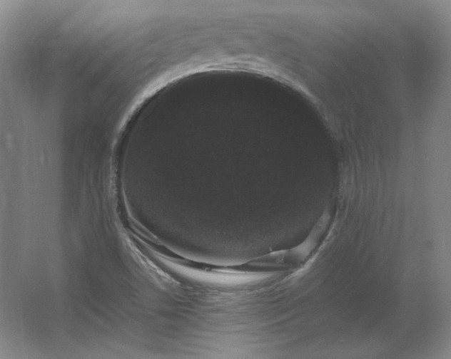 X0000062631506200512281542