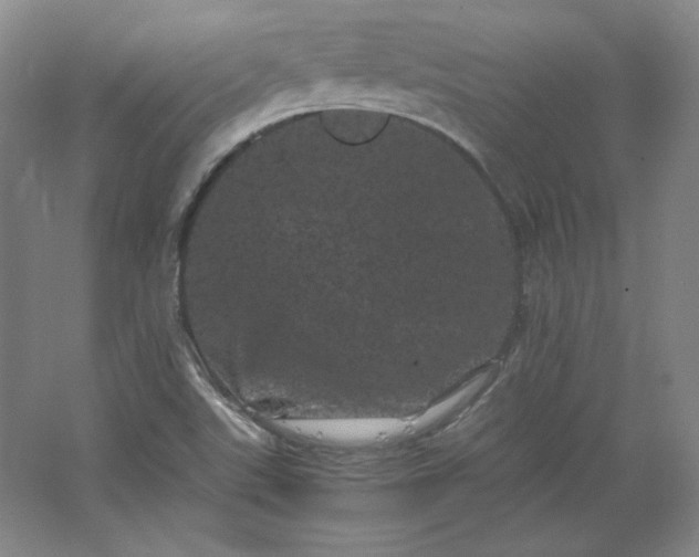 X0000062631507200512281542