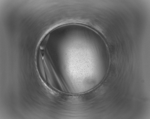 X0000062631508200512281542