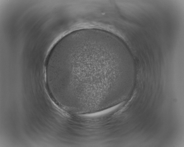 X0000062631509200512281542