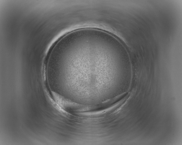 X0000062631510200512281542