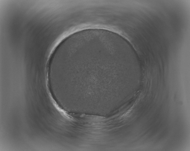 X0000062631511200512281542