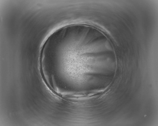 X0000062631512200512281542