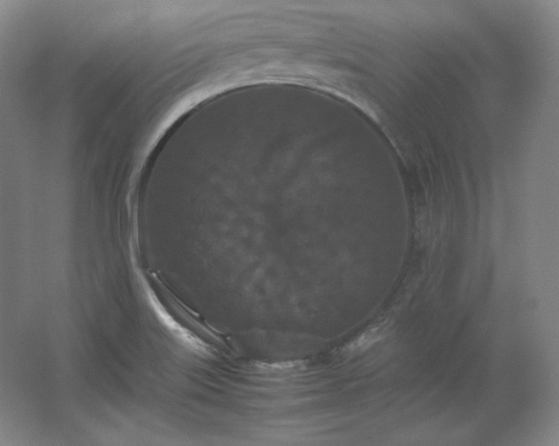 X0000062631515200512281542