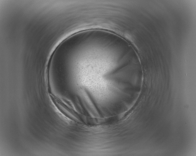 X0000062631516200512281542