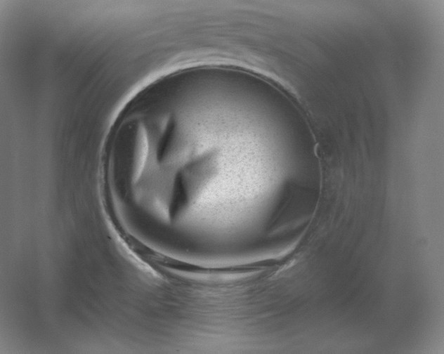 X0000062631518200512281542