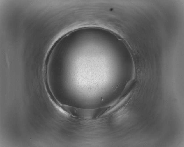 X0000062631519200512281542